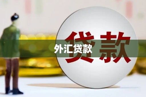 温江外汇贷款