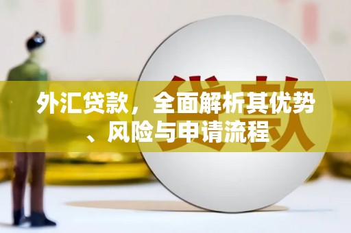 温江外汇贷款，全面解析其优势、风险与申请流程