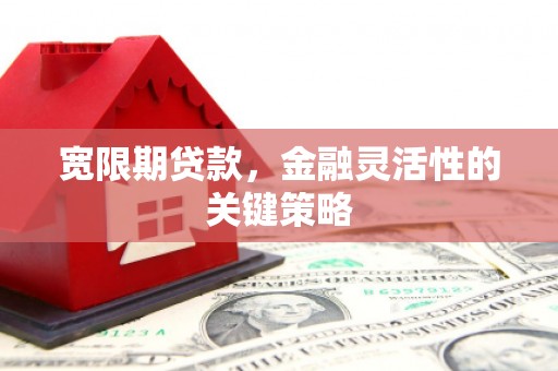 温江宽限期贷款，金融灵活性的关键策略