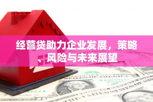 温江经营贷助力企业发展，策略、风险与未来展望