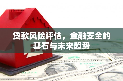 温江贷款风险评估，金融安全的基石与未来趋势