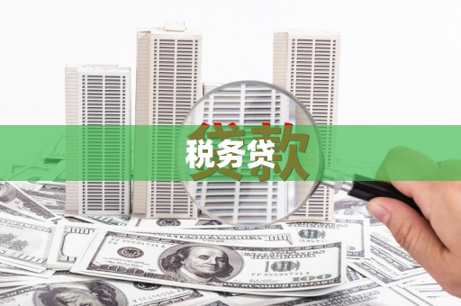 温江税务贷