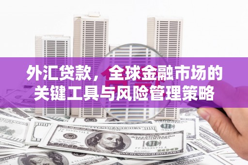 温江外汇贷款，全球金融市场的关键工具与风险管理策略