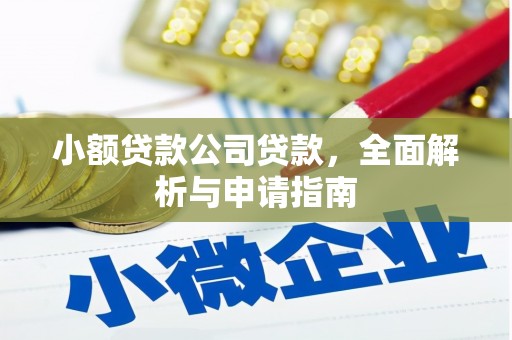 温江小额贷款公司贷款，全面解析与申请指南