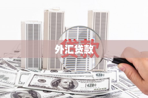 温江外汇贷款