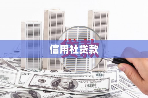 温江信用社贷款
