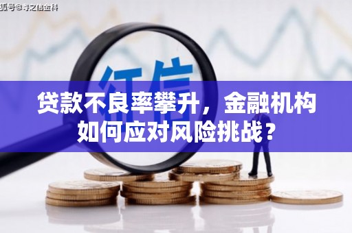 温江贷款不良率攀升，金融机构如何应对风险挑战？