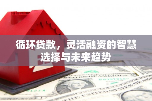 温江循环贷款，灵活融资的智慧选择与未来趋势