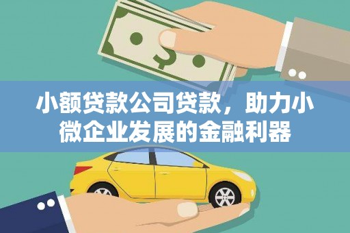 温江小额贷款公司贷款，助力小微企业发展的金融利器