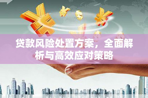 温江贷款风险处置方案，全面解析与高效应对策略