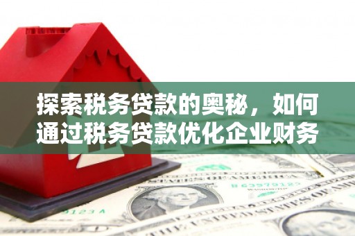 温江探索税务贷款的奥秘，如何通过税务贷款优化企业财务