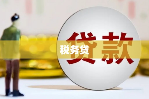 温江税务贷