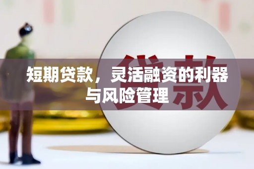 温江短期贷款，灵活融资的利器与风险管理