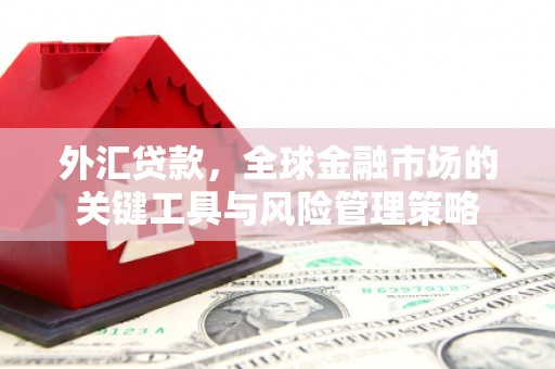 温江外汇贷款，全球金融市场的关键工具与风险管理策略