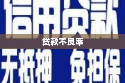 温江贷款不良率