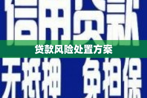 温江贷款风险处置方案