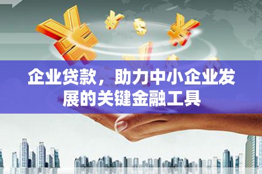 温江企业贷款，助力中小企业发展的关键金融工具