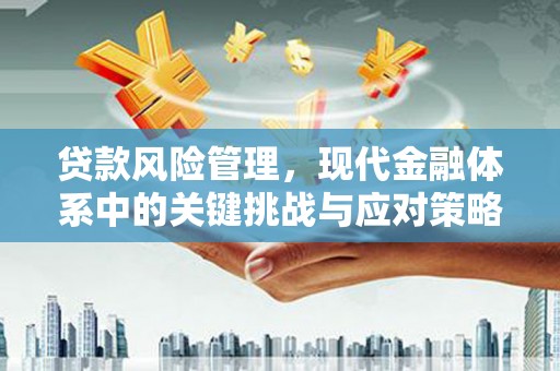 温江贷款风险管理，现代金融体系中的关键挑战与应对策略