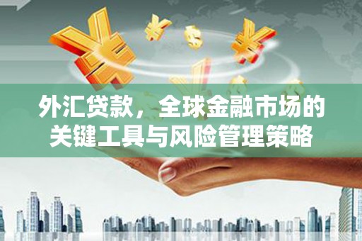 温江外汇贷款，全球金融市场的关键工具与风险管理策略