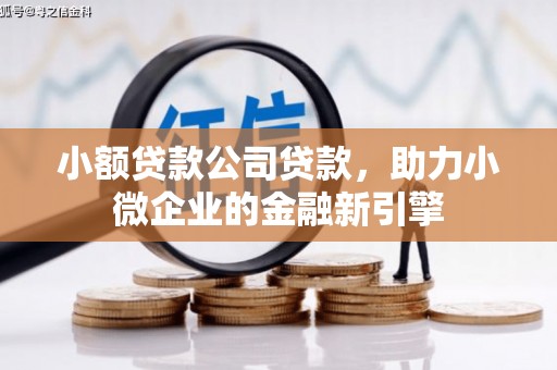 温江小额贷款公司贷款，助力小微企业的金融新引擎