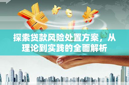 温江探索贷款风险处置方案，从理论到实践的全面解析