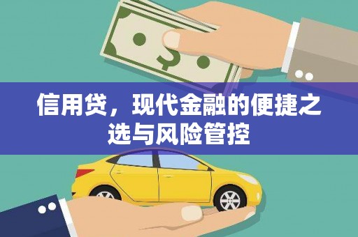 温江信用贷，现代金融的便捷之选与风险管控