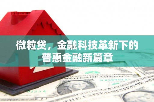温江微粒贷，金融科技革新下的普惠金融新篇章