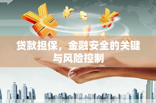温江贷款担保，金融安全的关键与风险控制