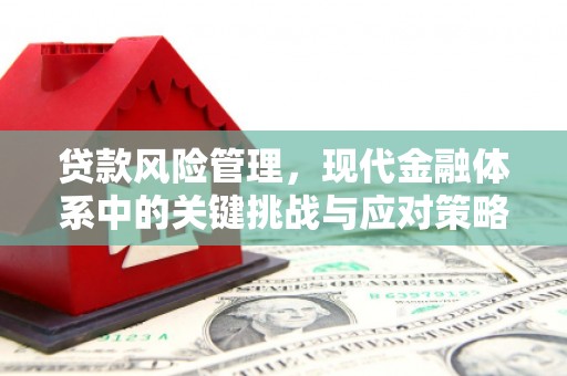 温江贷款风险管理，现代金融体系中的关键挑战与应对策略