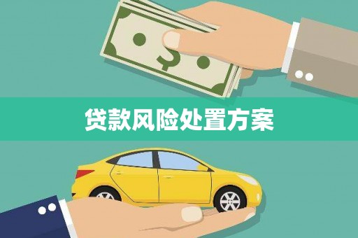温江贷款风险处置方案