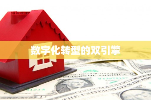 温江数字化转型的双引擎