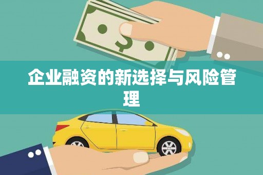 温江企业融资的新选择与风险管理