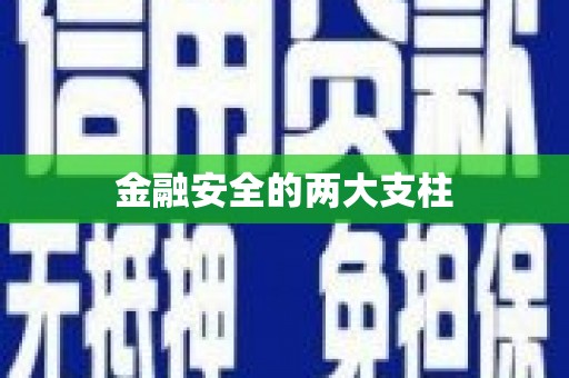 温江金融安全的两大支柱
