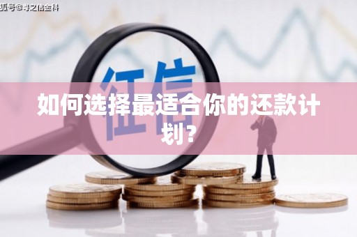 温江如何选择最适合你的还款计划？